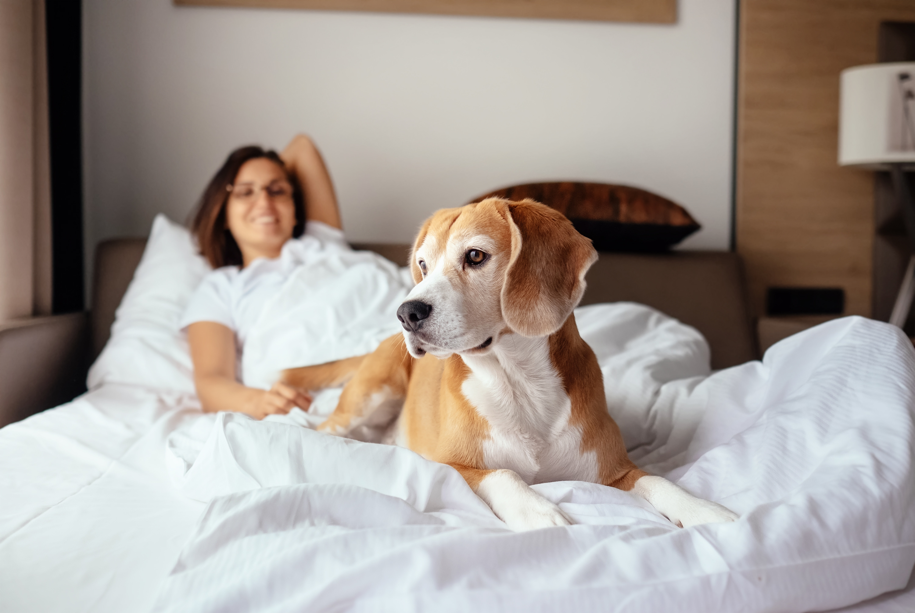 4 Benefits of co-sleeping with your pet
